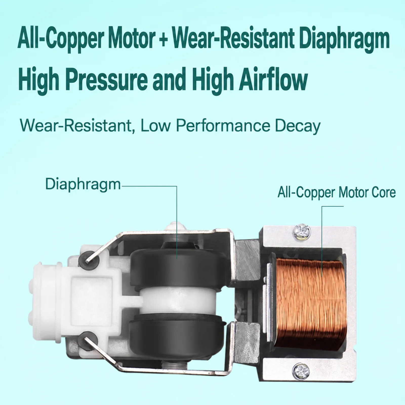  Internal air pump assembly showing wear-resistant diaphragms and the copper motor core.