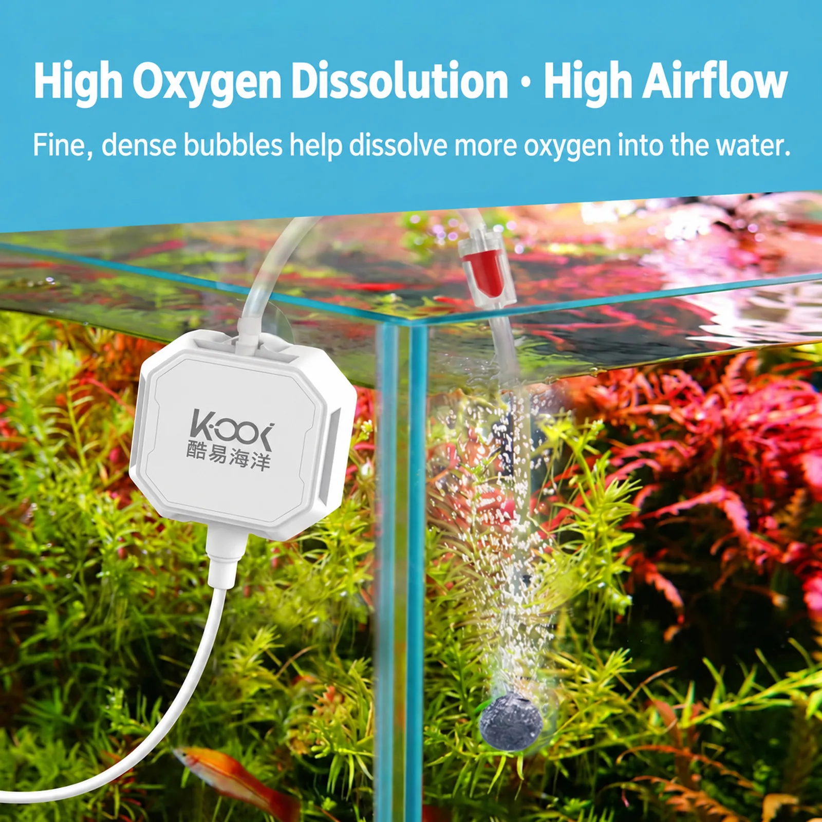 Proposed main image showing the pump operating in a planted aquarium