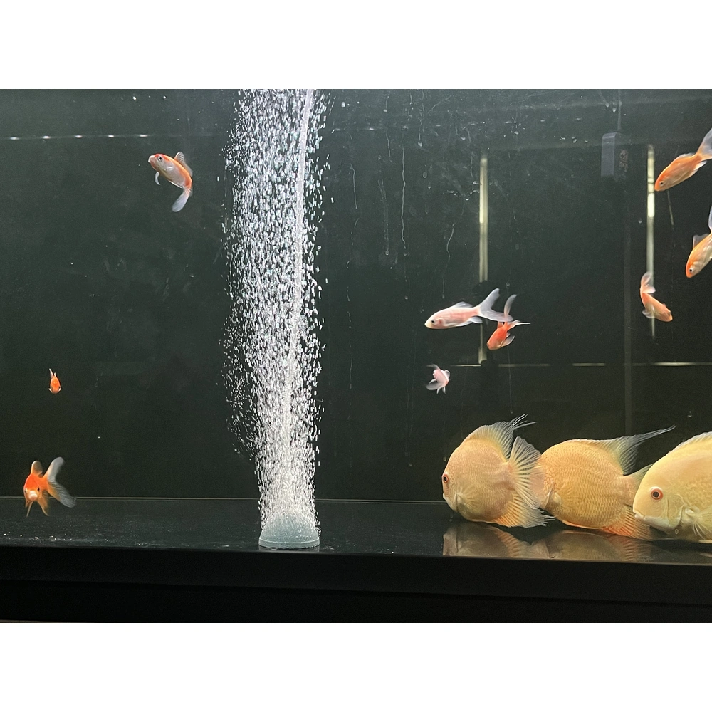 KOOI dome aquarium air stone releasing a column of bubbles from the bottom of a bare-bottom tank containing ornamental fish.