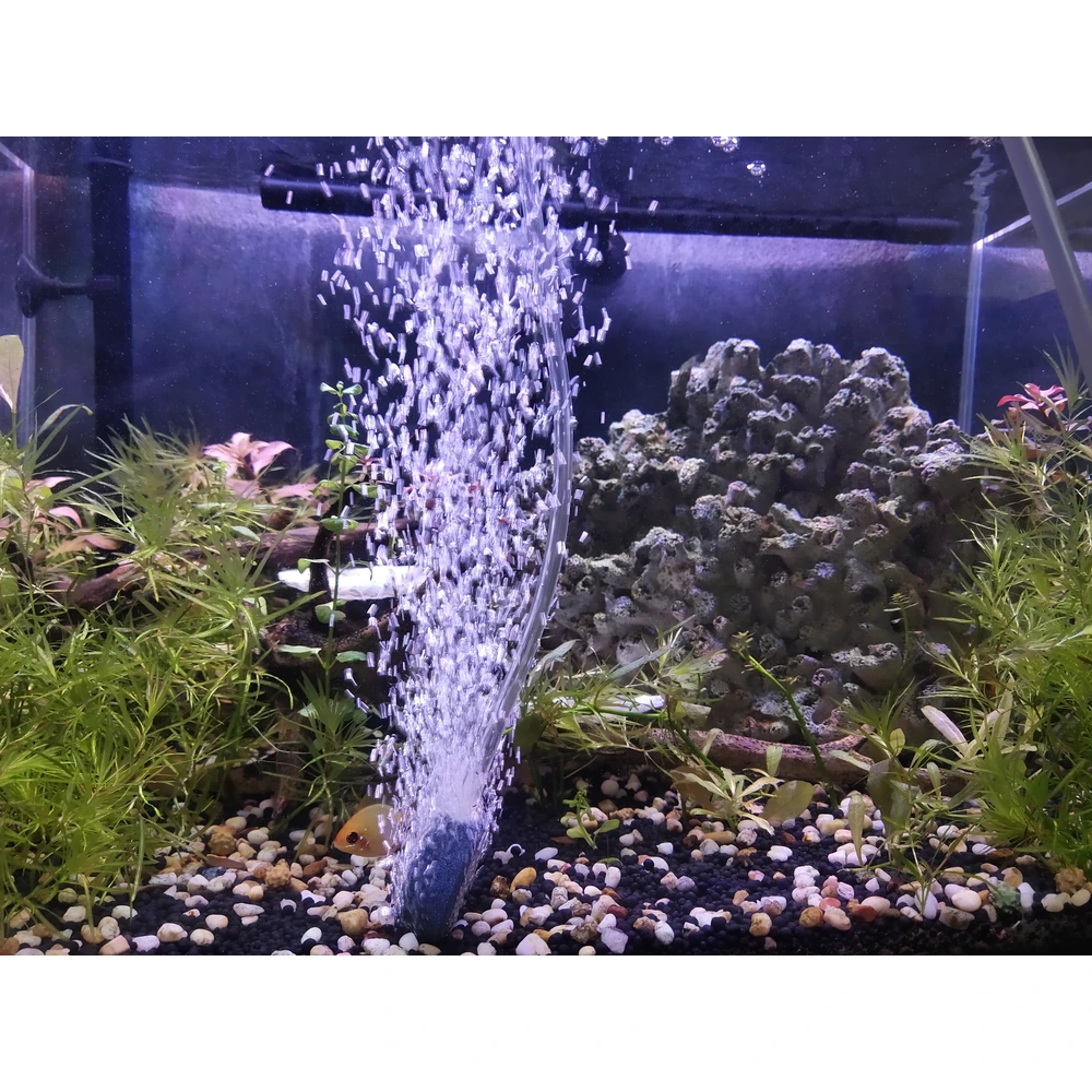 Aquarium air stone disc producing a rising stream of bubbles among aquatic plants, gravel and rocks.
