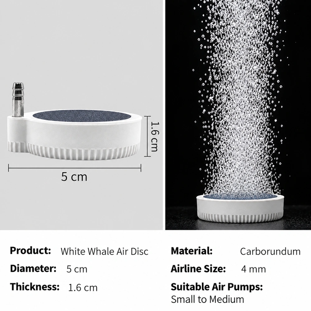 Beluga 5 cm aquarium air diffuser disc dimensions and specifications, with a bubble-output illustration and a 4 mm airline connection.