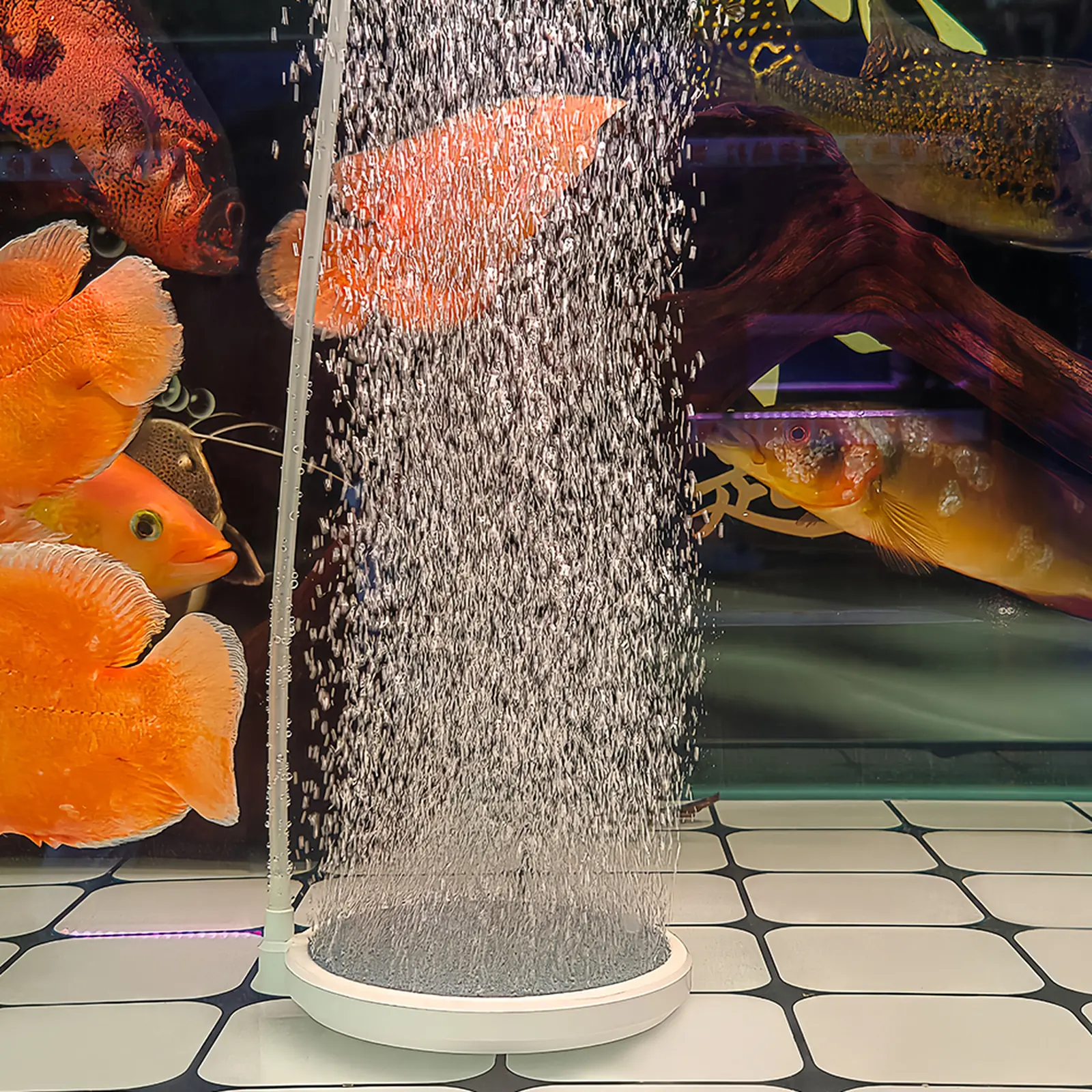 Blue Whale aquarium air stone disc producing bubbles in a bare-bottom fish tank.
