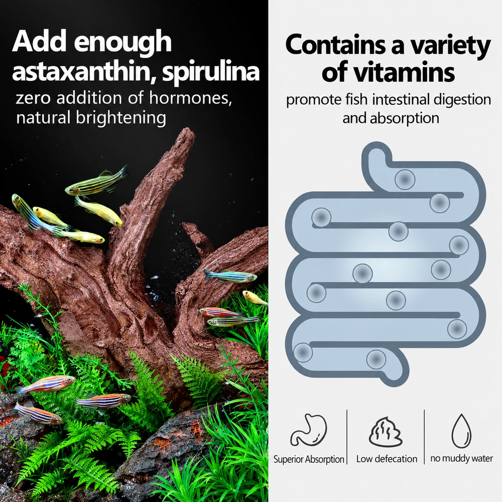 Tropical fish food with astaxanthin and spirulina for natural coloration, no added hormones, and vitamins to support digestion and nutrient absorption.