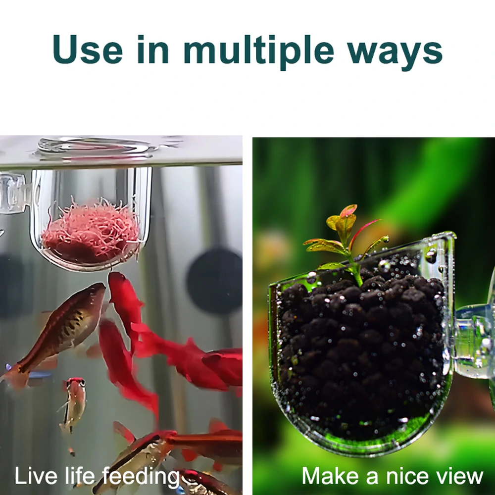 Aquarium bloodworm feeding cup shown holding worms for fish and planting substrate with a small aquatic plant.