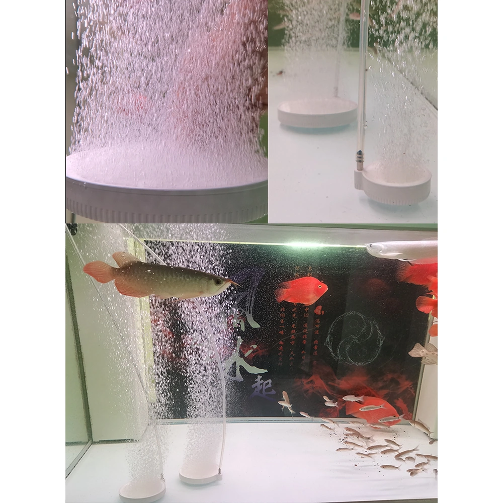 Beluga aquarium air diffuser discs producing bubbles, shown in close-up and in an aquarium with ornamental fish.