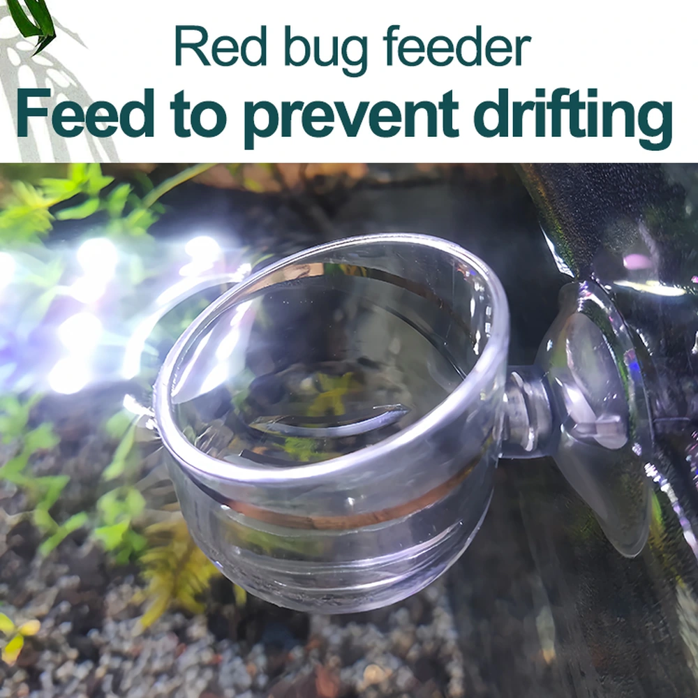 Angled top view of an empty aquarium bloodworm feeding cup attached to the tank wall with a suction cup.