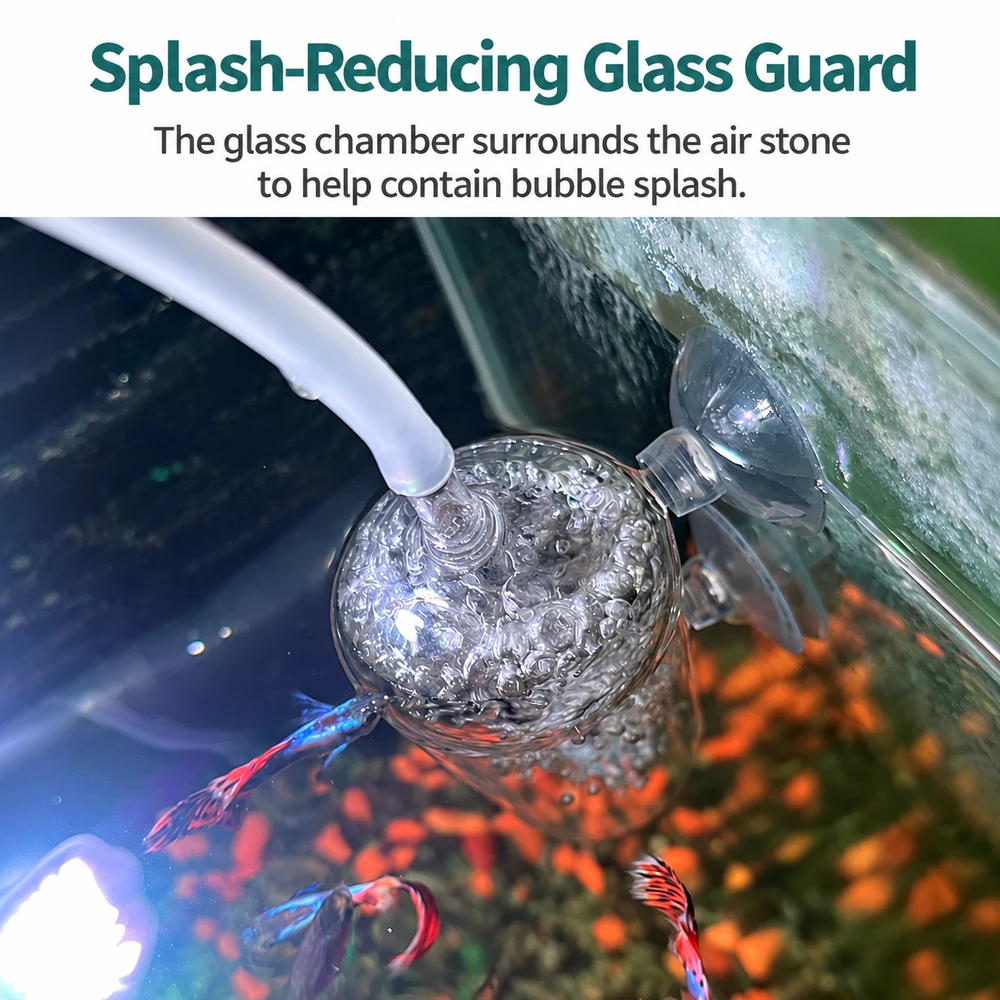 Top view of a glass aquarium air stone splash guard containing bubbles beside the aquarium wall.