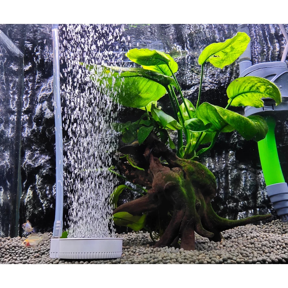 Beluga aquarium air diffuser disc releasing bubbles beside aquatic plants and driftwood in a gravel-bottom aquarium.