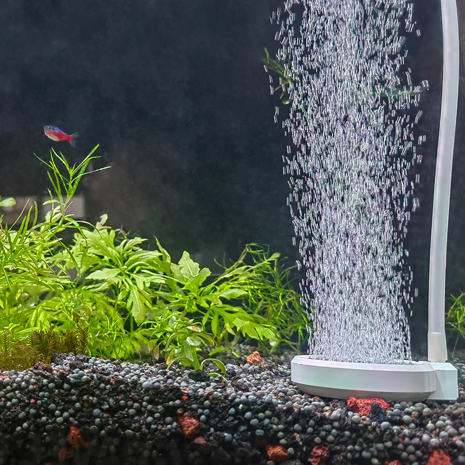 Blue Whale aquarium air stone disc producing bubbles in a planted aquarium.
